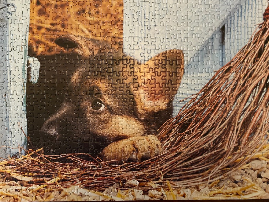 Photo d'un puzzle de chiot allongé