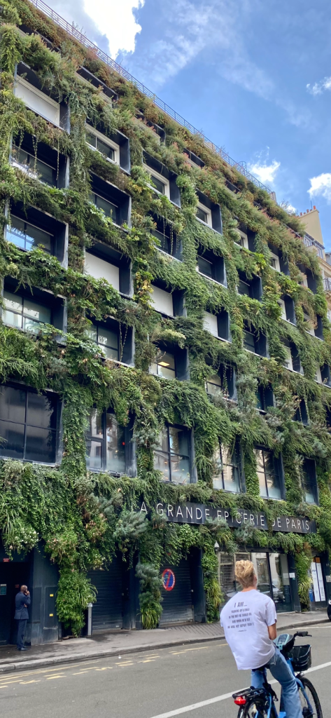Impressionnant et dense mur végétal. La verdure est omniprésente et variée. Ce mur s'élève à au moins 15 mètres, un véritable tamis de verdure vertical.