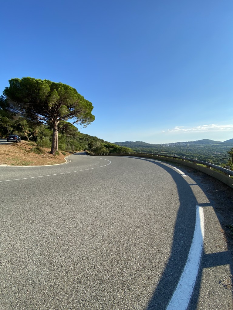 Route en virage aigu, bordée d'un grand pin parasol sous un ciel estival radieux