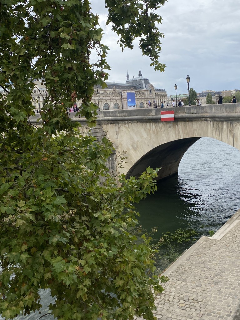 La seine s'écoule paisiblement au travers des feuillages d'un arbre au premier plan. En arrière plan, l'imposante façade du musée d'Orsay, et juste en travers de la vue, le pont Royal qui enjambe la Seine/