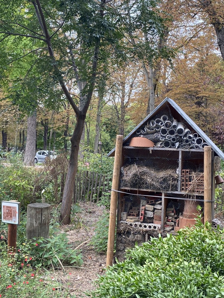Maintenant on installe ce qui s'appelle des Hôtels à insectes ! ce sont de petits abris en forme de maisons mais entièrement destinés à la prolifération d'insectes.