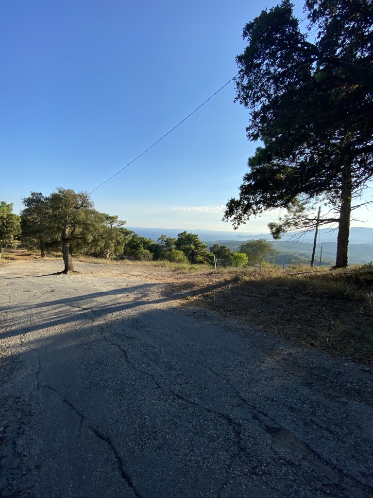 Une petite route ombragée, sous un soleil d'été. Avec vue sur mer Méditerranée au loin.