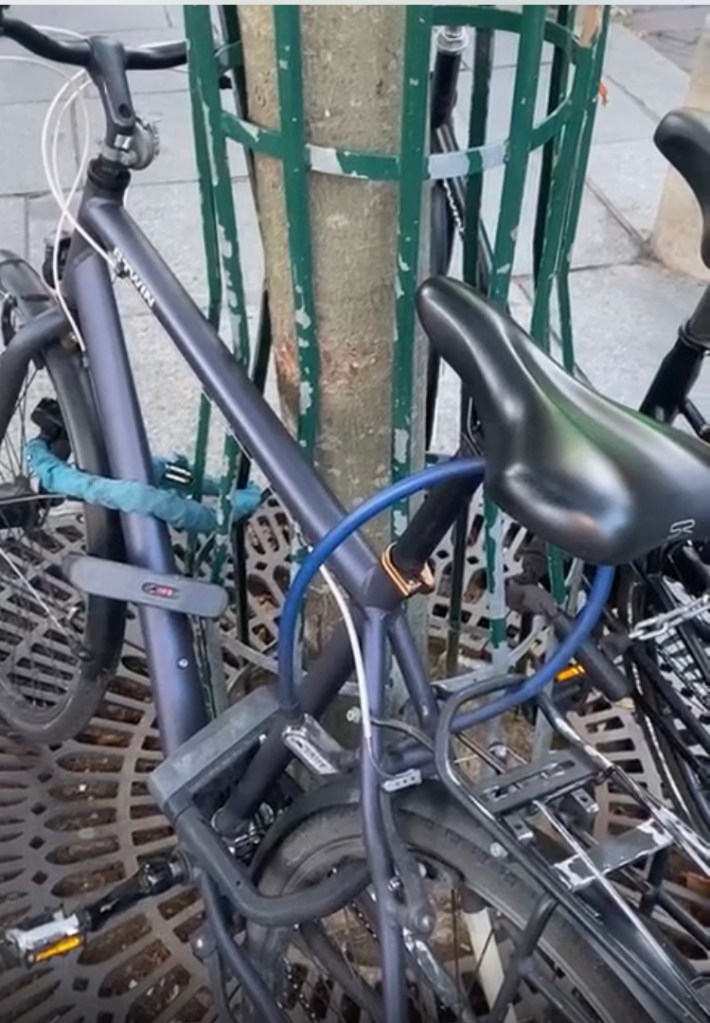 Un vélo est littéralement sur-cadenassé à la barrière protégeant un arbre, place Saint-Sulpice à Paris. Il y a 5 cadenas, le propriétaire devant craindre par dessus tout qu'on le lui vole.