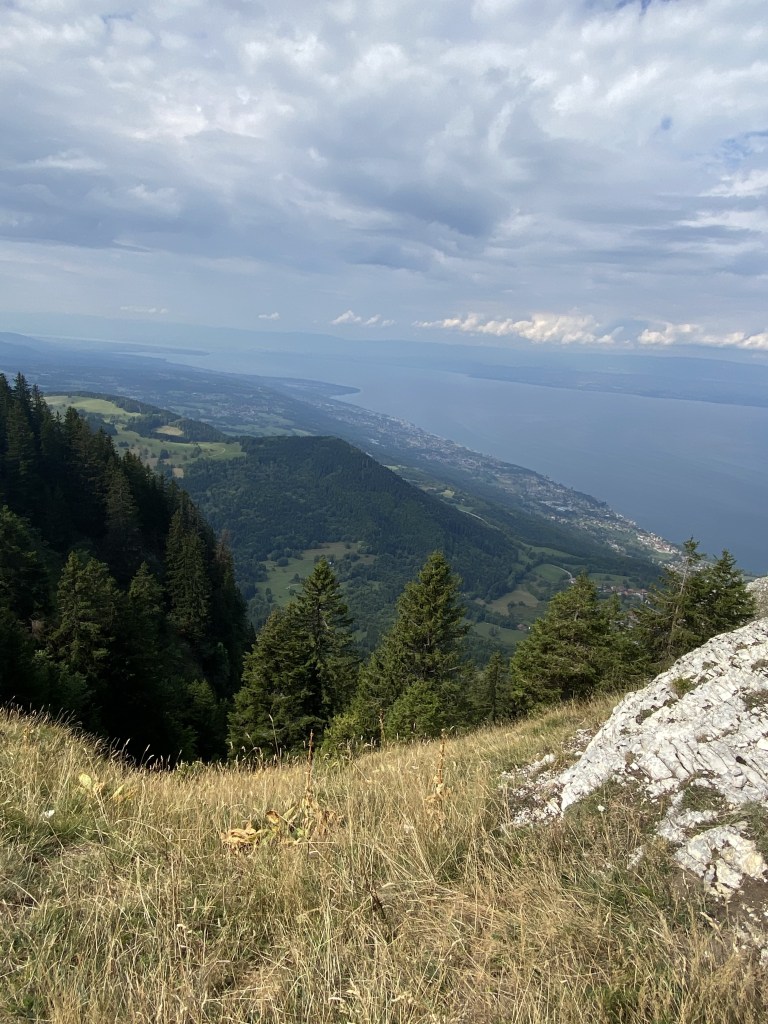 une belle vue plongeante sur les eaux du lac Léman 1200 m plus bas. le versant est assez abrupt, et permet à des sapins de pousser, accrochés à la pente.