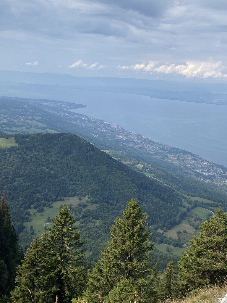 Tout en bas, 1200m en contrebas, on peut voir l'immense lac Léman bleuté, avec les rivages de la ville d'Evian