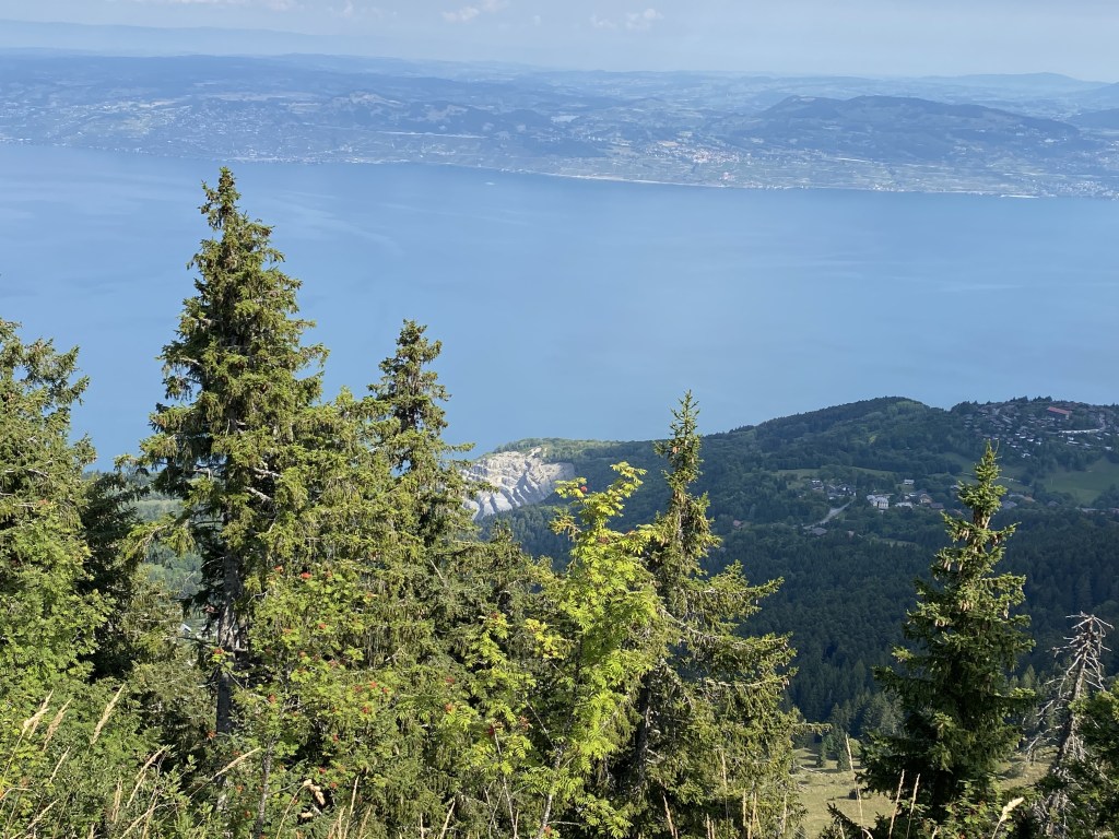 La blanche carrière des Étalins se détache du premier plan verdoyant et planté de feuillus, et en arrière plan, plus bas, le lac Léman