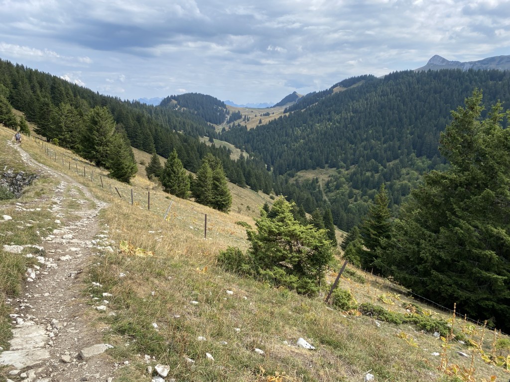 la pente duoc et herbeuse conduit notre regard sur des versants forestiers en arrière plan
