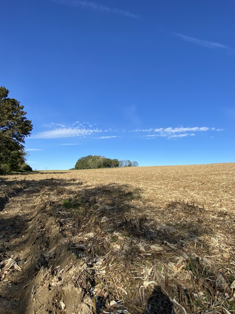 Terre arables près du domaine de Cassou (propriété privée) près d'Orthez.