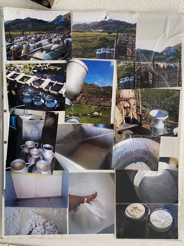 Images de la laiterie-fromagerie de Louvie Juzon (64)